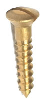 Brass Rsd/head Screws 19mm x 6g x 20
